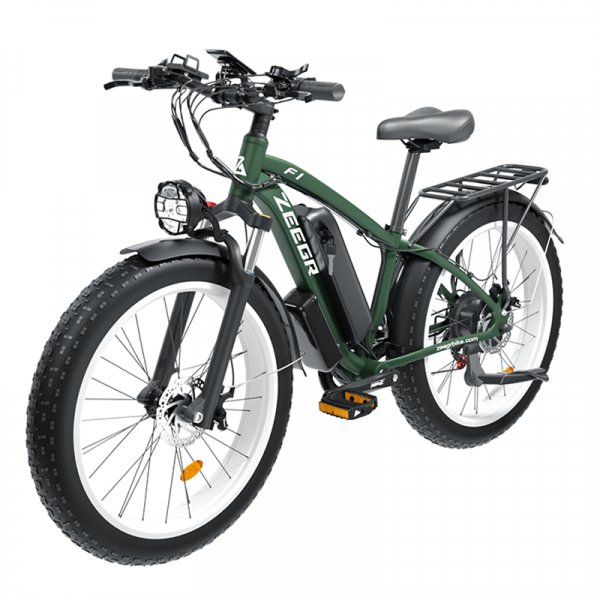 Electric Mountain Bike